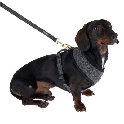 Nomad Tales Calma Hundeleine, Ebony 7 Nomad Tales Calma Hundeleine, Ebony – Bild 5