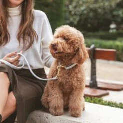 Nomad Tales Calma Halsband, Stone 21 Nomad Tales Calma Halsband, Stone -Günstiges Futter Leine Geschäft 326806 326197 nomad tales calma halsband stone 03 5 1