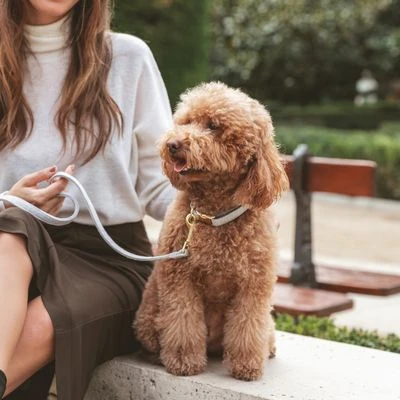 Nomad Tales Calma Halsband, Stone 5 Nomad Tales Calma Halsband, Stone – Bild 3