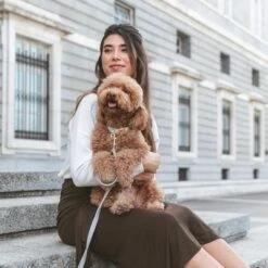 Nomad Tales Calma Halsband, Stone 29 Nomad Tales Calma Halsband, Stone -Günstiges Futter Leine Geschäft 326806 326197 nomad tales calma halsband stone 05 0 1