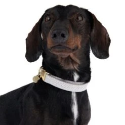 Nomad Tales Calma Halsband, Stone 23 Nomad Tales Calma Halsband, Stone -Günstiges Futter Leine Geschäft 326807 calma m fg 7321 6