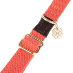 Nomad Tales Bloom Halsband, Coral 41 Nomad Tales Bloom Halsband, Coral -Günstiges Futter Leine Geschäft 328200 328201 nomad tales bloom leinen fg 1534 0