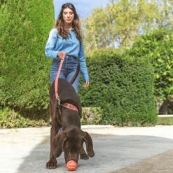 Nomad Tales Bloom Leine, Coral -Günstiges Futter Leine Geschäft 328200 nt bloom leine coral 4