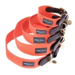 Nomad Tales Bloom Halsband, Coral 34 Nomad Tales Bloom Halsband, Coral -Günstiges Futter Leine Geschäft 328396 328496 328497 328596 328696 nomad tales bloom halsbaender fg 1475 7
