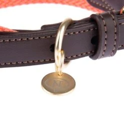 Nomad Tales Bloom Halsband, Coral 28 Nomad Tales Bloom Halsband, Coral -Günstiges Futter Leine Geschäft 328396 328496 328497 328596 328696 nomad tales bloom halsbaender fg 1479 3