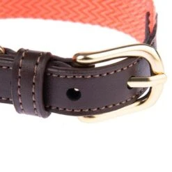 Nomad Tales Bloom Halsband, Coral 27 Nomad Tales Bloom Halsband, Coral -Günstiges Futter Leine Geschäft 328396 328496 328497 328596 328696 nomad tales bloom halsbaender fg 1480 2