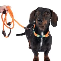 Nomad Tales Spirit Leine, Tangerine 18 Nomad Tales Spirit Leine, Tangerine -Günstiges Futter Leine Geschäft 328796 329297 spirit xs fg 7658 6