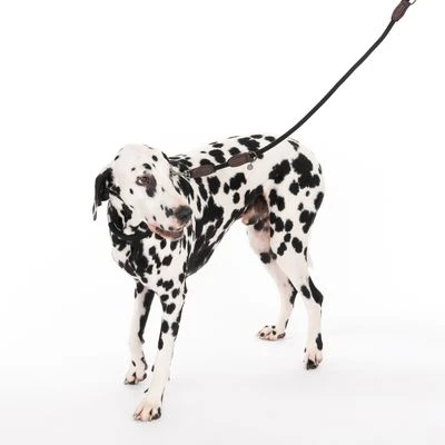 Nomad Tales Spirit Leine, Ebony 4 Nomad Tales Spirit Leine, Ebony – Bild 2