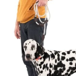 Nomad Tales Spirit Leine, Stone -Günstiges Futter Leine Geschäft 329296 329397 spirit l fg 7494 9