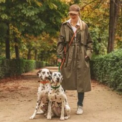 Nomad Tales Spirit Leine, Tangerine 17 Nomad Tales Spirit Leine, Tangerine -Günstiges Futter Leine Geschäft 329297 nomad tales spirit leine tangerine 04 6