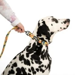 TIAKI Hundeleine Easy Care -Günstiges Futter Leine Geschäft 332199 easy care l fg 0504 8