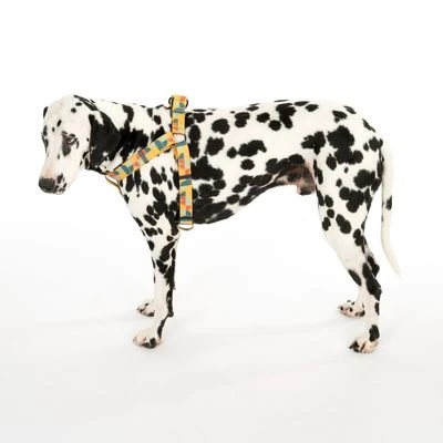 TIAKI Geschirr Easy Care 12 TIAKI Geschirr Easy Care – Bild 10