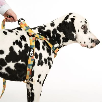 TIAKI Geschirr Easy Care 16 TIAKI Geschirr Easy Care – Bild 14