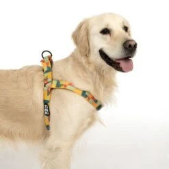 TIAKI Geschirr Easy Care 26 TIAKI Geschirr Easy Care -Günstiges Futter Leine Geschäft 332204 easy care geschirr l fg 1749 9