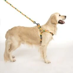 TIAKI Geschirr Easy Care 33 TIAKI Geschirr Easy Care -Günstiges Futter Leine Geschäft 332204 easy care geschirr l fg 1755 2