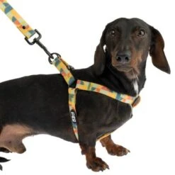 TIAKI Geschirr Easy Care 23 TIAKI Geschirr Easy Care -Günstiges Futter Leine Geschäft 332296 easy care geschirr xl fg 1462 9