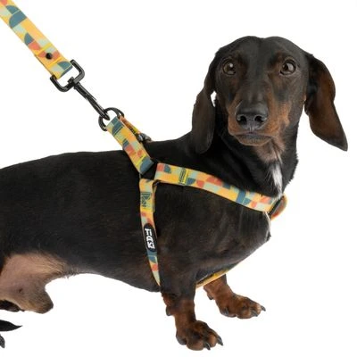 TIAKI Geschirr Easy Care 7 TIAKI Geschirr Easy Care – Bild 5