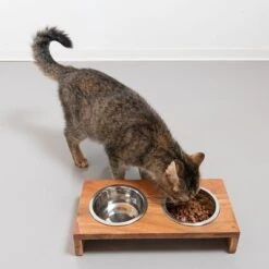 Modern Living Napfbar Aus Holz Nellore -Günstiges Futter Leine Geschäft 337708 mit hund katze fg 1466 9