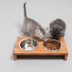 Modern Living Napfbar Aus Holz Nellore -Günstiges Futter Leine Geschäft 337708 mit hund katze fg 1471 5