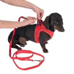 TIAKI Geschirr Wave Vest, Rot -Günstiges Futter Leine Geschäft 338698 tiaki wave vest m fg 8947 3