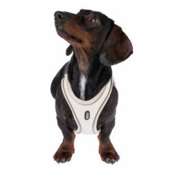 TIAKI Geschirr Wave Vest, Beige -Günstiges Futter Leine Geschäft 338700 tiaki wave vest m fg 8978 9