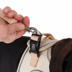 TIAKI Geschirr Wave Vest, Beige -Günstiges Futter Leine Geschäft 338700 tiaki wave vest m fg 8985 5