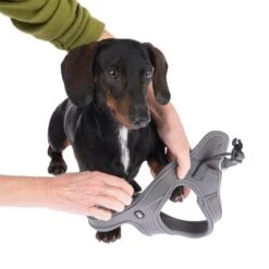 TIAKI Geschirr Wave Vest, Anthrazit 22 TIAKI Geschirr Wave Vest, Anthrazit -Günstiges Futter Leine Geschäft 338706 tiaki wave vest m fg 8995 2