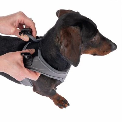 TIAKI Geschirr Wave Vest, Anthrazit 9 TIAKI Geschirr Wave Vest, Anthrazit – Bild 7