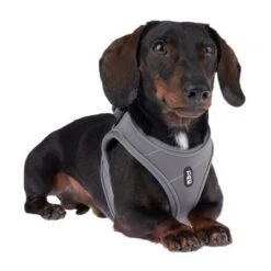 TIAKI Geschirr Wave Vest, Anthrazit 19 TIAKI Geschirr Wave Vest, Anthrazit -Günstiges Futter Leine Geschäft 338706 tiaki wave vest m fg 9003 3