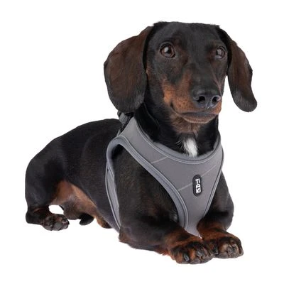 TIAKI Geschirr Wave Vest, Anthrazit 5 TIAKI Geschirr Wave Vest, Anthrazit – Bild 3