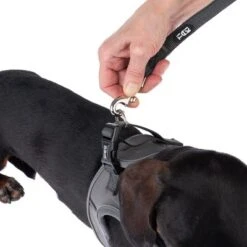 TIAKI Geschirr Wave Vest, Anthrazit 28 TIAKI Geschirr Wave Vest, Anthrazit -Günstiges Futter Leine Geschäft 338706 tiaki wave vest m fg 9010 8