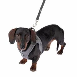 TIAKI Geschirr Wave Vest, Anthrazit 29 TIAKI Geschirr Wave Vest, Anthrazit -Günstiges Futter Leine Geschäft 338706 tiaki wave vest m fg 9014 1