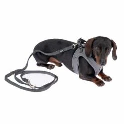 TIAKI Geschirr Wave Vest, Anthrazit 30 TIAKI Geschirr Wave Vest, Anthrazit -Günstiges Futter Leine Geschäft 338706 tiaki wave vest m fg 9017 9