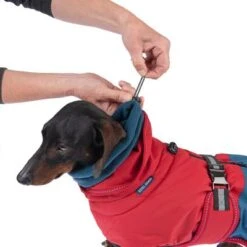 Nomad Tales Bloom Hundemantel Sunsetneu 33 Nomad Tales Bloom Hundemantel Sunsetneu -Günstiges Futter Leine Geschäft 361000 nt bloom sunset 35cm fg 9601 0