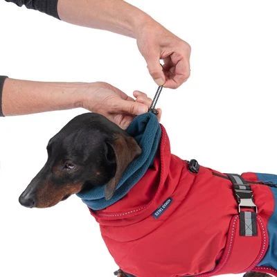 Nomad Tales Bloom Hundemantel Sunsetneu 14 Nomad Tales Bloom Hundemantel Sunsetneu – Bild 12