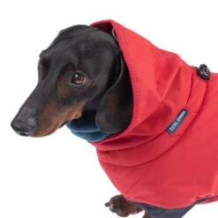 Nomad Tales Bloom Hundemantel Sunsetneu 32 Nomad Tales Bloom Hundemantel Sunsetneu -Günstiges Futter Leine Geschäft 361000 nt bloom sunset 35cm fg 9602 9