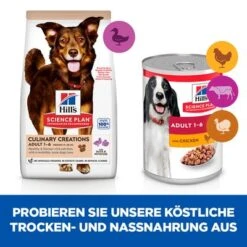 Hill's Science Plan Adult Culinary Creations Medium Ente & Kartoffel 13 Hill's Science Plan Adult Culinary Creations Medium Ente & Kartoffel -Günstiges Futter Leine Geschäft 365896 365798 hills scienceplan adult medium duckpotato hs 11 6