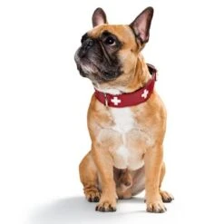 HUNTER Set: Halsband Swiss + Hundeleine Swiss -Günstiges Futter Leine Geschäft 36707 hunter swiss3 3 1