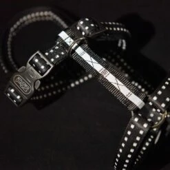 TIAKI Sicherheitsgeschirr Reflectneu -Günstiges Futter Leine Geschäft 367807 tiaki safety harness reflect fg 3954 6