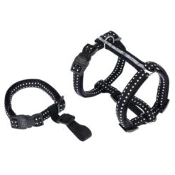 TIAKI Sicherheitsgeschirr Reflectneu -Günstiges Futter Leine Geschäft 367807 tiaki safety harness reflect fg 3958 2