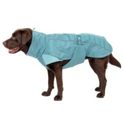 Nomad Tales Spirit Softshell-Hundemantel Pacificneu -Günstiges Futter Leine Geschäft 369430 nt spirit pacific 55cm fg 0844 1