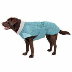 Nomad Tales Spirit Softshell-Hundemantel Pacificneu -Günstiges Futter Leine Geschäft 369430 nt spirit pacific 55cm fg 0845 9