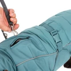 Nomad Tales Spirit Softshell-Hundemantel Pacificneu -Günstiges Futter Leine Geschäft 369430 nt spirit pacific 55cm fg 0854 0