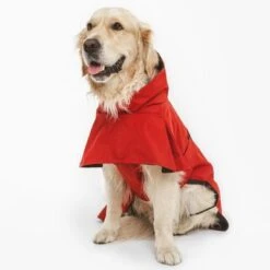 Nomad Tales Spirit Hunderegenmantel Copperneu -Günstiges Futter Leine Geschäft 369601 nt spirit copper 6