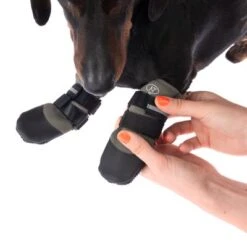 Nomad Tales Spirit Pfotenschutz Aegis -Günstiges Futter Leine Geschäft 370896 nt spirit pfotenschutz aegis s fg 2863 1