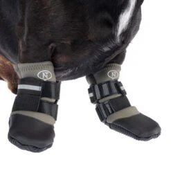 Nomad Tales Spirit Pfotenschutz Aegis -Günstiges Futter Leine Geschäft 370896 nt spirit pfotenschutz aegis s fg 2866 6