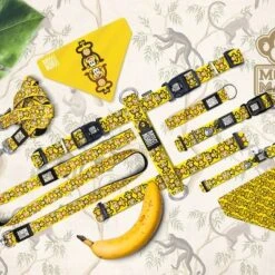 Max & Molly H-G﻿eschirr Monkey Maniac -Günstiges Futter Leine Geschäft 377312 377205 377206 maxnmolly hg eschirr monkeymaniac hs 11 3