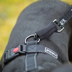 Rukka® Wander-Trainingsleineneu -Günstiges Futter Leine Geschäft 383817 rukka wander trainingsleine hs 04 5