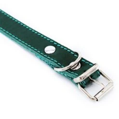 Heim Halsband Mit Ziernaht, Petrolneu -Günstiges Futter Leine Geschäft 383830 halsband ziernaht 60cm petrol hs 03 4