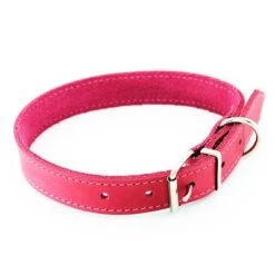 Heim Halsband Mit Ziernaht, Pinkneu -Günstiges Futter Leine Geschäft 383909 pla halsband ziernaht 50cm pink hs 01 6